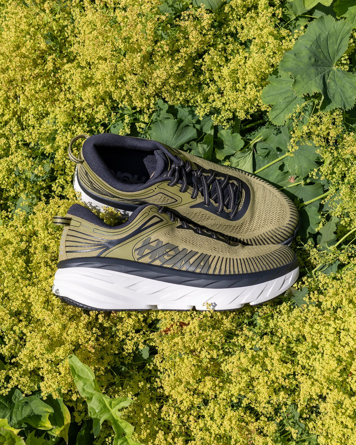 Hoka Bondi 7 Wild Rye / Black Herre